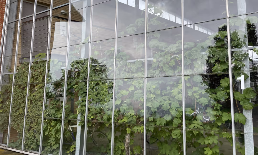 Billede 3 fra lejemålet på Rapsmarken 3, 5260 Odense S