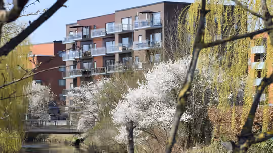 Billede fra lejemålet på Blumersgade 1, 8700 Horsens