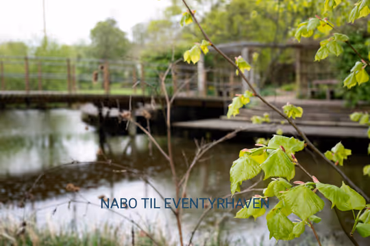Billede fra lejemålet på Albani Torv, 5000 Odense C