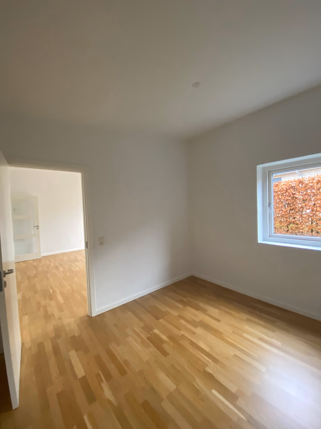 Billede fra lejemålet på Hegnet 11, 8700 Lund