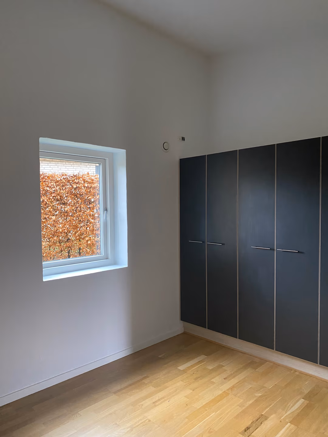 Billede fra lejemålet på Hegnet 11, 8700 Lund