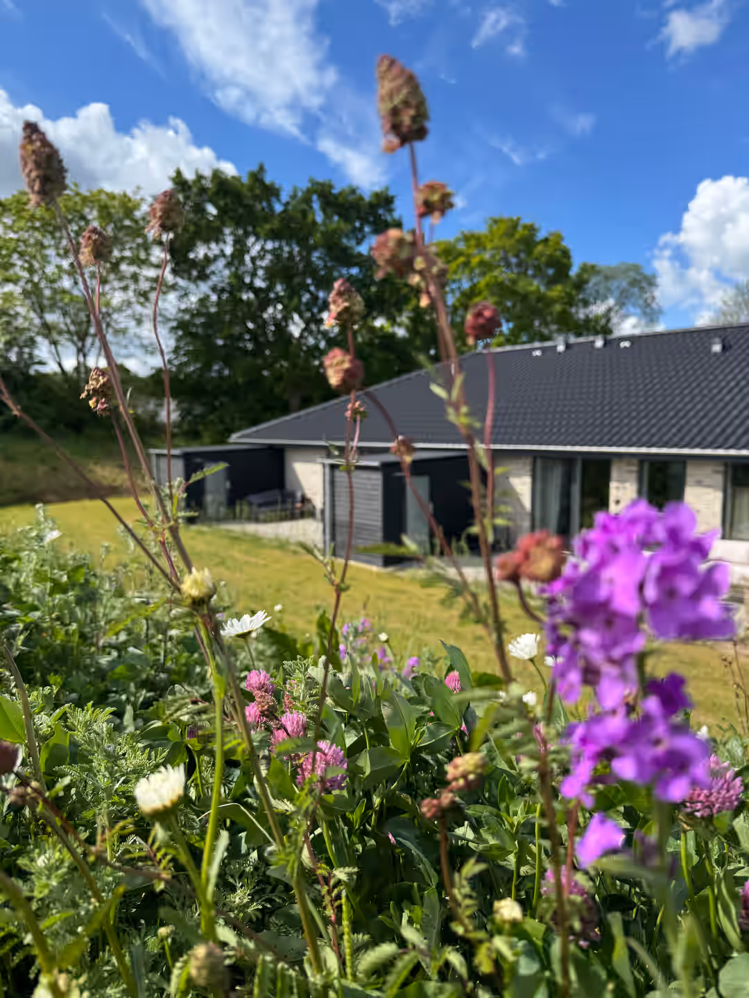 Billede 2 fra lejemålet på Tåsingevej 152, 6100 Haderslev