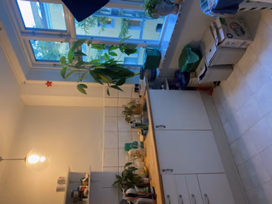 Rental at Poul Paghs Gade 16, 9000 Aalborg