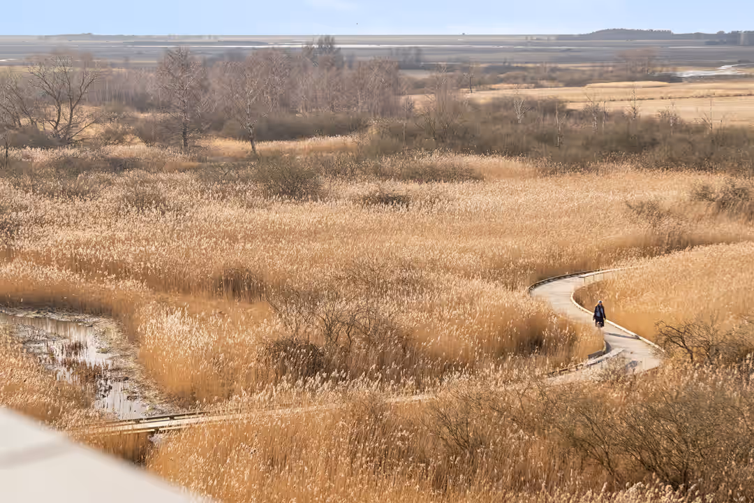 Billede 3 fra lejemålet på Else Alfelts Vej 42, 2300 København S