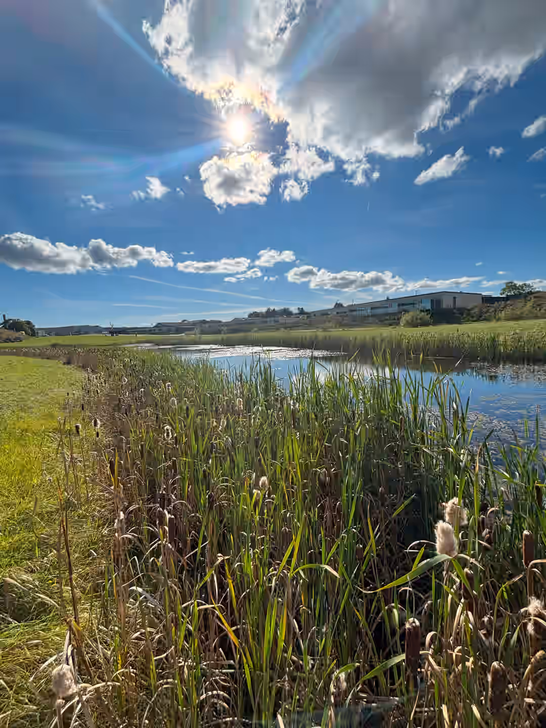 Billede 2 fra lejemålet på Remmerslund Skovby 48, 8722 Hedensted