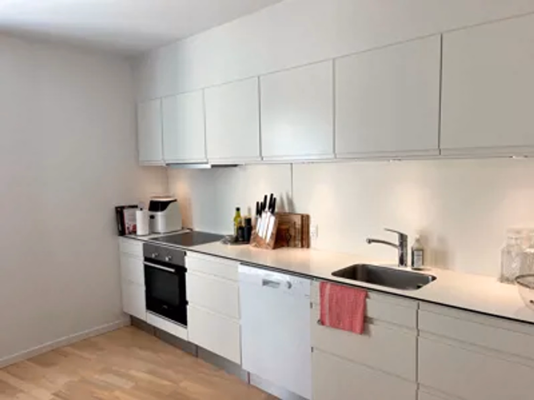 Billede 1 fra lejemålet på Badehusvej 1A, 9000 Aalborg
