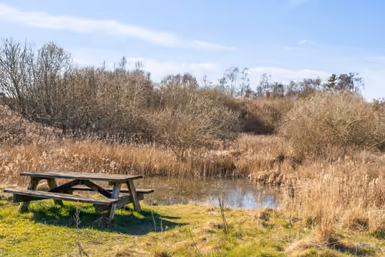 Rental at Pilespidsvej 3, 2980 Kokkedal